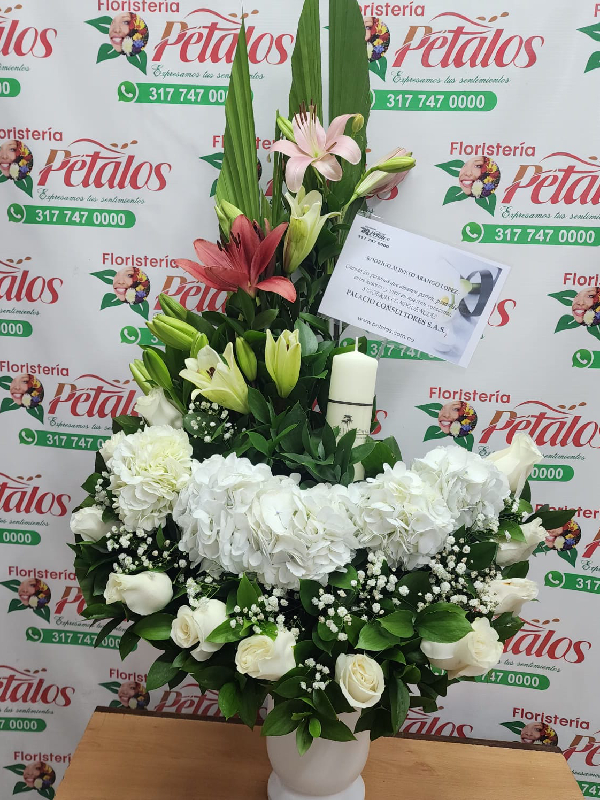Pétalos 117
